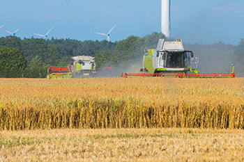 anpassung-der-verordnung-ueber-die-sicherstellung-von-vier-landschaftsschutzgebieten